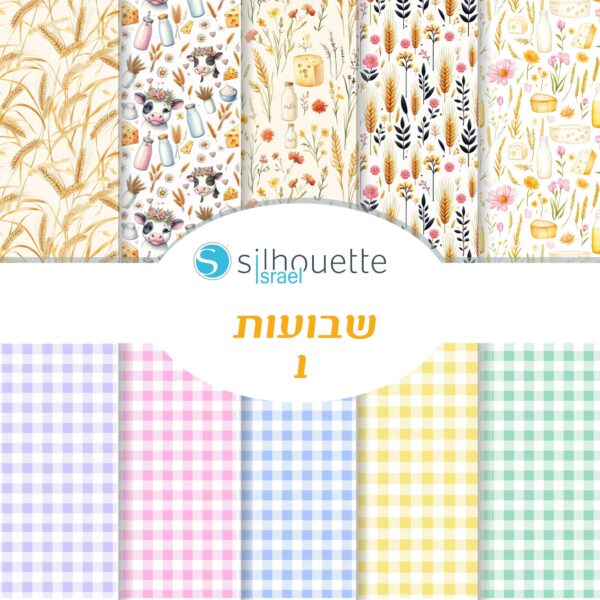 סטאק שבועות 1